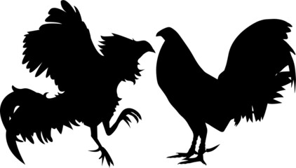 silhouette of a rooster