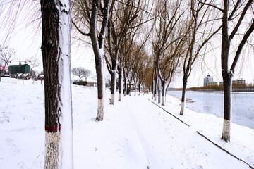 Snow scenery along the river in city Park in winter