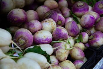 Fresh turnips on market shelves. High quality photo
