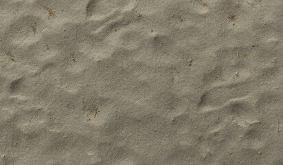 Fototapeta na wymiar Dry Trampled Sand texture background