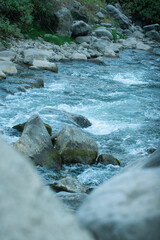 A calm river with large stones and green areas around it. Abundant flora, green and fallen plants with floating logs which generates peace and calm