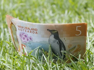 economy and finance with New Zealand money