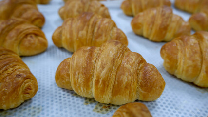  butter croissant pastry food background