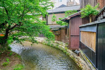 Fototapeta na wymiar 京都の白川
