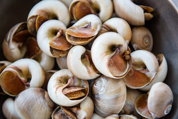Fresh cooked conch is served on plates for lunch