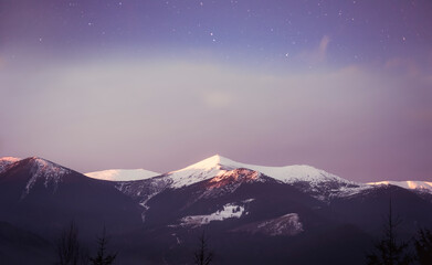 Fototapeta na wymiar Snow-covered Peak Pip Ivan Chernogorskiy. A chain of mountains against the backdrop of a fading cloudy starry sky at sunrise in pink. Carpathian pines in the foreground. Delicate frosty landscape.
