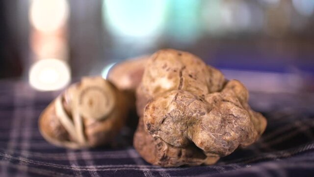 Fresh Italian truffle on table cloth, close up handheld view