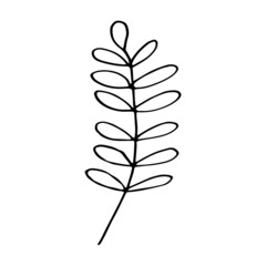 abstract leaves icon. hand drawn doodle. vector, scandinavian, nordic, minimalism, monochrome. plant, herbarium.