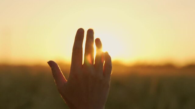 Woman holding hand up to the light touching rays of warm sunshine through finger tips. Hand in the sun close-up silhouette dream of happiness sunlight