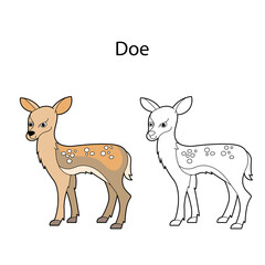 Funny cute animal doe isolated on white background. Linear, contour, black and white and colored version. Illustration can be used for coloring book and pictures for children