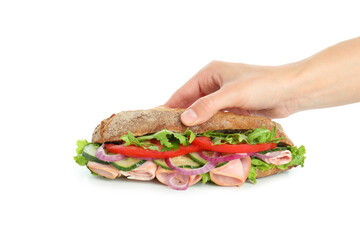 Female hand holds ciabatta sandwich, isolated on white background