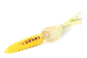 Tasty grilled corn isolated on white background