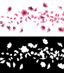 Fototapeta na wymiar 3D illustration of a pink cherry sakura flower petals flow with alpha layer