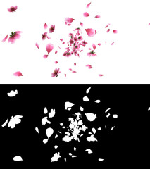 3D illustration of a pink cherry sakura flower petals flow with alpha layer