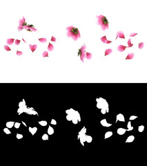 3D illustration of a pink cherry sakura flower petals flow with alpha layer