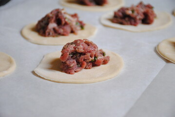 Process of making home-made dumplings, ravioli or pelmeni with minced meat.