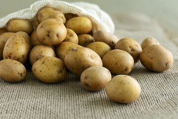 Baby potatoes falling out of the packing bag on sackcloth