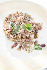 Presentation of a typical dish of Italian cuisine of mixed legume soup