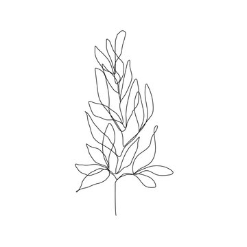 Flower with Leaves Line Art Drawing. Botanical Line Art for Wall Decor, Prints, Posters, Logo. Abstract Plant with Leaves Minimalist Modern Style. Vector EPS 10