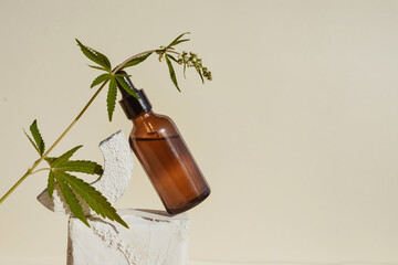 CBD oil in brown bottle with dropper and cannabis branch, hemp on podium Beige background