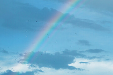 Fototapeta na wymiar Rainbow on a blue evening sky with clouds