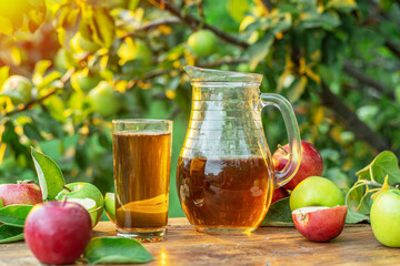 Fresh apple juice and organic apples on wooden table.  Summer orchard in the evening sun rays at the background.