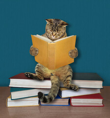 A beige cat with an open book is sitting a pile of books. 