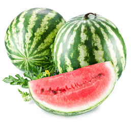 Ripe big watermelon with slices and watermelon leaves isolated on white background.