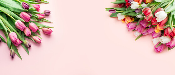 Fototapeta na wymiar Delicate pink tulips on lightpink background.