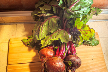 Red sugar beet fresh organic healthy natural food, beetroot. On natural rustic wooden background. Close up.