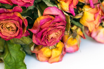Fototapeta na wymiar a dried bouquet of roses
