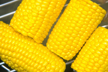 とうもろこし