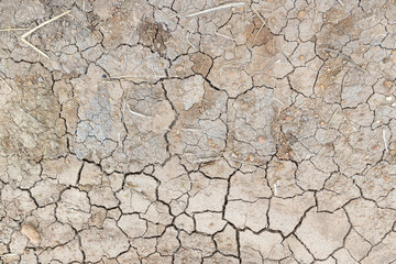 closeup dry soil background, top view