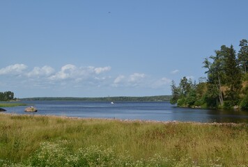 Quiet lake view, blue sky, natural background, wild park with lake in russia, high green grass