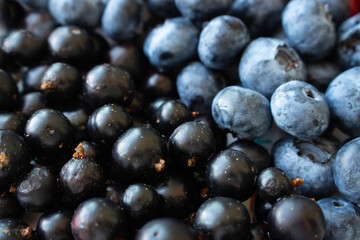 Black currant and blueberry close up. Variation of summer berries. Healthy dessert. Organic food....