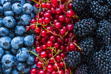 Blackberry, red currants and blueberry close up. Variety of summer berries. Healthy dessert. Organic food. Colorful berries assortment. Healthy eating. Mix of fresh berries. Vitamin and antioxidant.