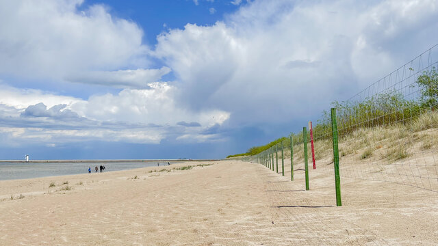 sand dunes and beach in summer swinoujscie