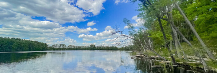 reflection of trees in water panorama