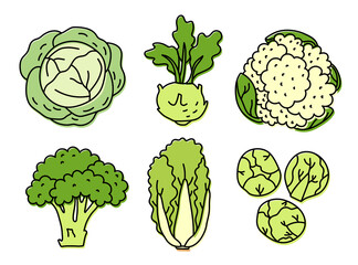 Types of cabbage. Vegetable sketch. Color simple icon. Hand drawn vector set. Doodle illustration collection