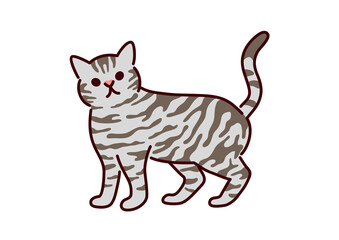 Fototapeta na wymiar Illustration of American shorthair cat／シンプルかわいい猫・アメリカンショートヘアのイラスト