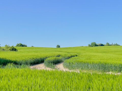 road in landscape with grass and sky