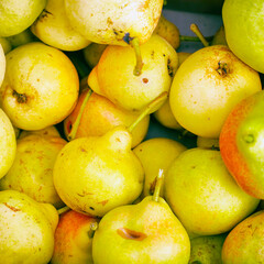 Yellow ripe pears in box. Top view