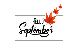 Hello September beautiful lettering with orange color autumn leaves over white background