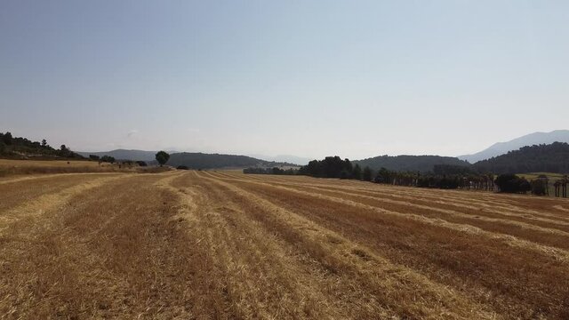 Tomas Aereas y Cenitales de carretera desierta ente campo de trigo cosechado, con pas de motos y ciclistas
