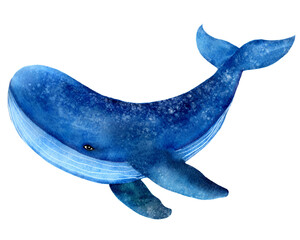 Blue whale, ocean animal, mammal, watercolor illustration