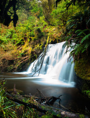 Rain forest waterfall