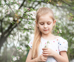 Little girl with white dandelions in her hands
