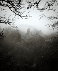 dramatic, foggy, moody scene with naked treebranches around the famous Manderscheid Castle in west Germany in Autumn
