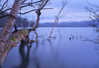 stilleben am Laacher See bei Maria Laach in der Vulkaneifel mit langzeitbelichtung in der blauen Stunde