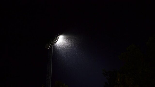 Swarm of bug attracting and flying around light from stadium floodlight at night